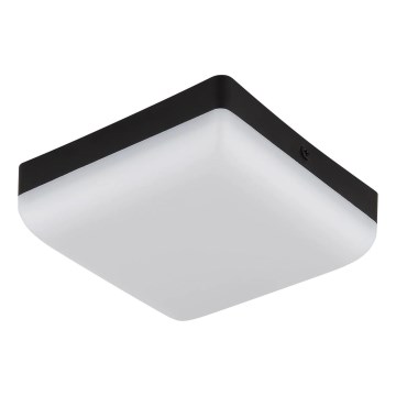 Globo - LED Plafondlamp LED/8W/230V 4000K 12x12 cm zwart