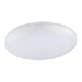 Globo - LED plafondlamp voor buiten LED/24W/230V IP54