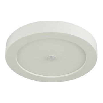 Globo - LED plafondlamp voor buiten met sensor LED/18W/230V IP44