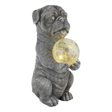 Globo - LED Solar decoratie LED/0,02W/3V IP44 hond
