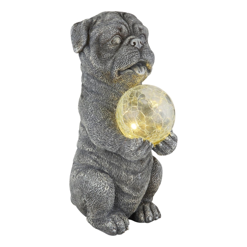 Globo - LED Solar decoratie LED/0,02W/3V IP44 hond