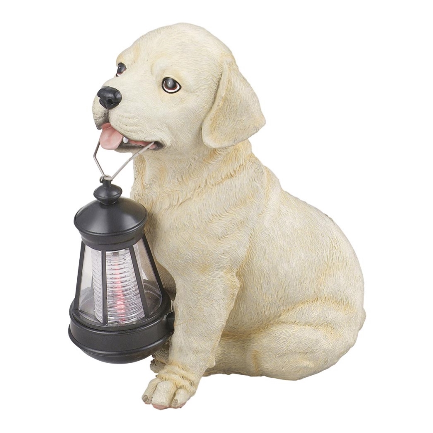 Globo - LED Solar lamp LED/0,06W/3V hond IP44 600 mAh