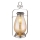 Globo - LED Solar lampion LED/0,06W/3V IP44