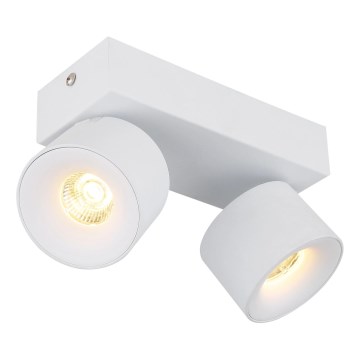 Globo - LED spot 2xLED/6W/230V wit