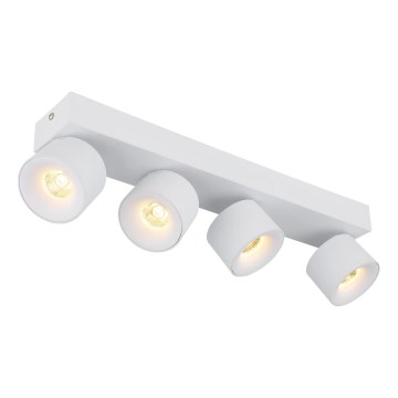Globo - LED spot 4xLED/6W/230V wit