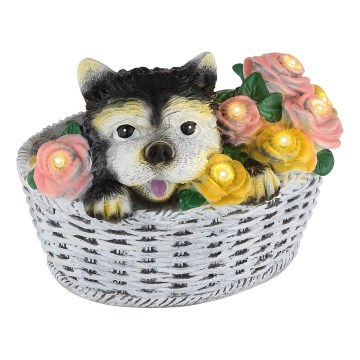 Globo - LED zonnelamp LED/1,2V IP44 300 mAh hond