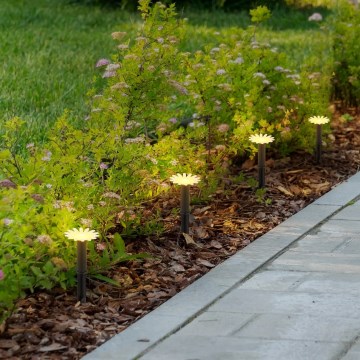 Globo - LED-zonnensnoer 5×LED/3V IP44 300 mAh 2,2 m bloemvormige lampjes