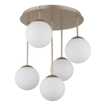 Globo - Opbouwkroonluchter 5xE14/25W/230V messing