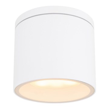 Globo - Plafondlamp voor buiten 1xGX53/11W/230V IP44