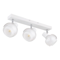 Globo - Plafondspot 3xE14/40W/230V wit