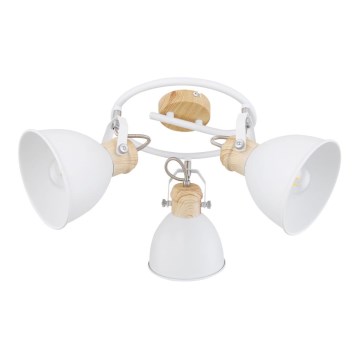 Globo - Spot 3xE27/40W/230V