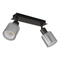 Globo - Spotlamp 2xE14/25W/230V