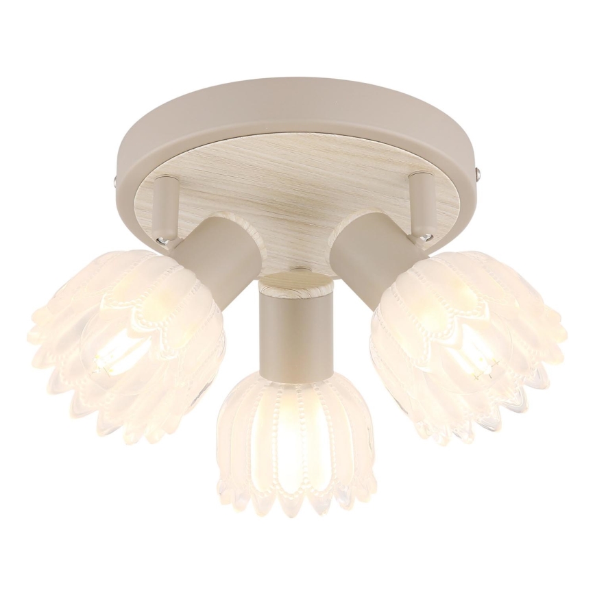 Globo - Spotlamp 3xE14/40W/230V