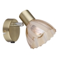 Globo - Wandspot 1xE14/40W/230V goud