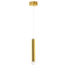 Goudkleurige LED Hanglamp GOLDIE 1x LED / 5W / 230V