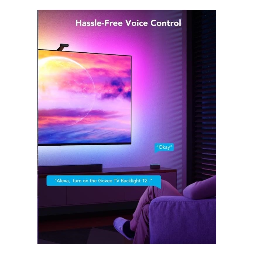 Govee - DreamView T2 DUAL TV 55-65" SMART LED achtergrondverlichting RGBIC Wi-Fi + afstandsbediening