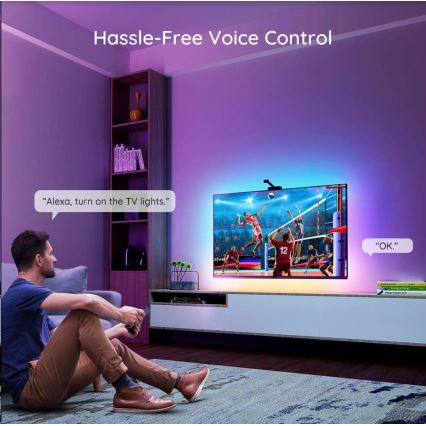 Govee - DreamView TV 75-85" SMART LED achtergrondverlichting RGBIC Wi-Fi + afstandsbediening