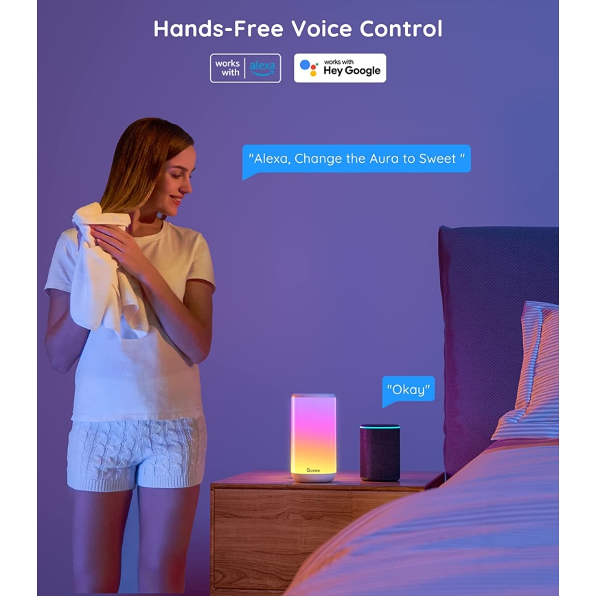 Govee - LED RGBIC Dimbaar tafellamp AURA 2 2200-6500K Wi-Fi Matter