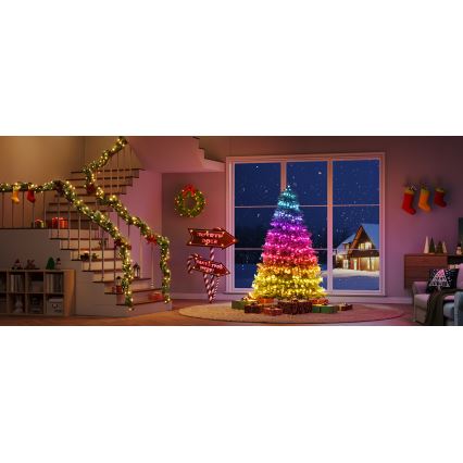 Govee - LED RGBICW Buiten Kerst lichtsnoer 2700-6500K 20m Wi-Fi Matter IP66