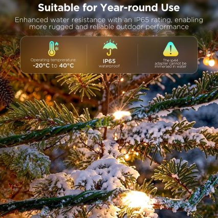 Govee - LED RGBICW Buiten kerstverlichting 2700-6500K 20m Wi-Fi Matter IP65