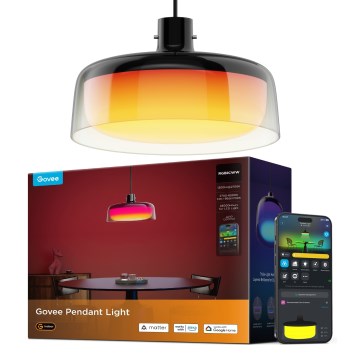 Govee - LED RGBICWW Dimbare hanglamp aan kabel LED/21W/230V Matter Wi-Fi