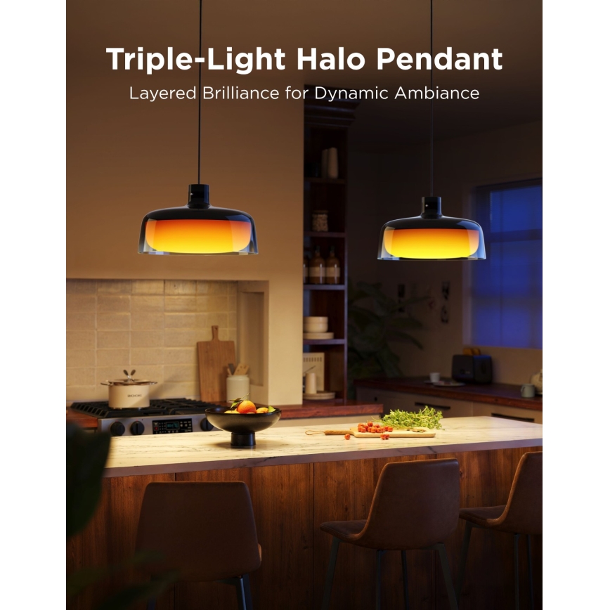 Govee - LED RGBICWW Dimbare hanglamp aan kabel LED/21W/230V Matter Wi-Fi