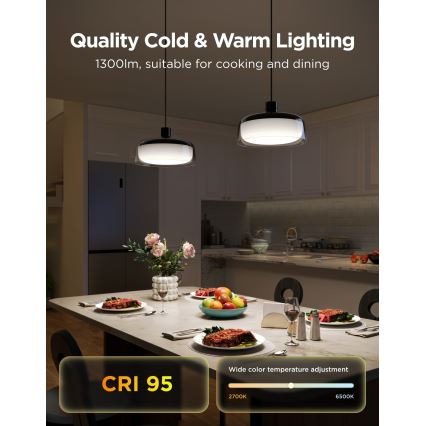 Govee - LED RGBICWW Dimbare hanglamp aan kabel LED/21W/230V Matter Wi-Fi