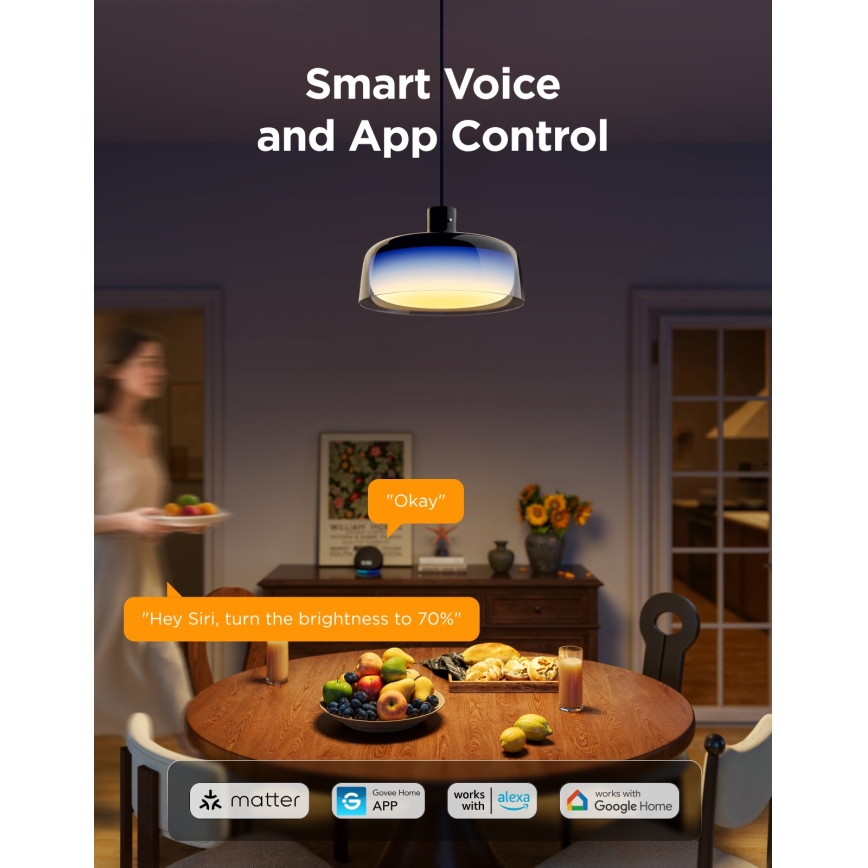 Govee - LED RGBICWW Dimbare hanglamp aan kabel LED/21W/230V Matter Wi-Fi