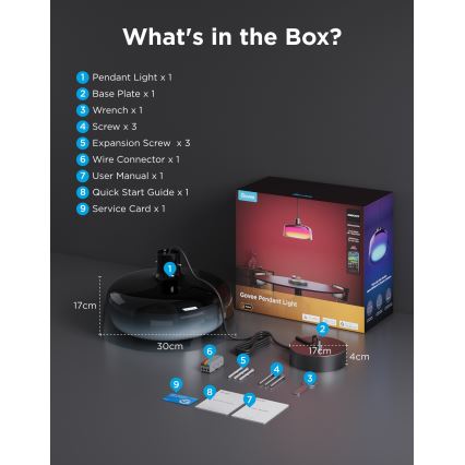 Govee - LED RGBICWW Dimbare hanglamp aan kabel LED/21W/230V Matter Wi-Fi