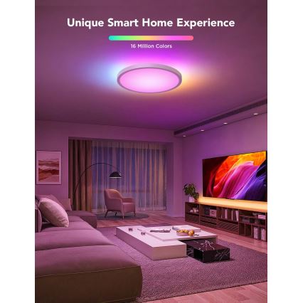 Govee - LED RGBICWW dimbare plafondlamp LED/29W/230V Ø 30 cm mat Wi‑Fi