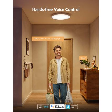 Govee - LED RGBICWW dimbare plafondlamp LED/29W/230V Ø 30 cm mat Wi‑Fi