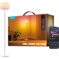 Govee - LED RGBICWW Dimbare vloerlamp LANTERN MATTER LED/24W/230V Wi-Fi 160 cm