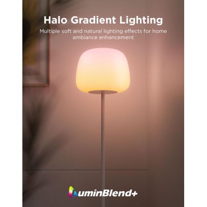 Govee - LED RGBICWW Dimbare vloerlamp LANTERN MATTER LED/24W/230V Wi-Fi 160 cm
