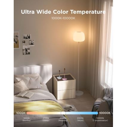 Govee - LED RGBICWW Dimbare vloerlamp LANTERN MATTER LED/24W/230V Wi-Fi 160 cm