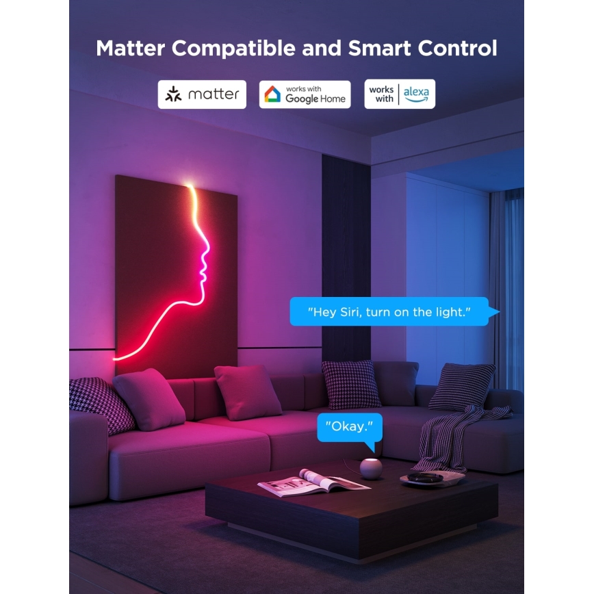 Govee - Neon 2 MATTER buigzaam LED Strip 5m RGBIC Wi-Fi IP67