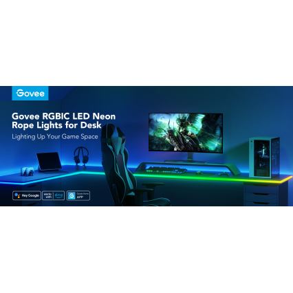 Govee - Neon LED tafel achtergrondverlichting 3m RGBIC Wi-Fi