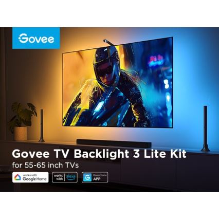 Govee - SET 2x Backlight TV 55-65" SMART LED achtergrondverlichting RGBICW Wi-Fi