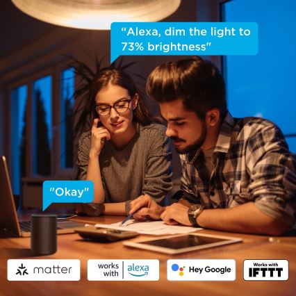 Govee - Set van 2 dimbare LED-lampen Smart MATTER A60 E27/9W/230V 2700-6500K Wi-Fi