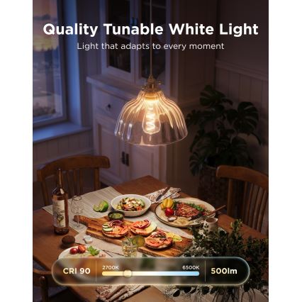 Govee - Set van 2 dimbare RGBWW LED-lampen Smart MATTER ST64 E27/5W/230V 2700-6500K Wi-Fi