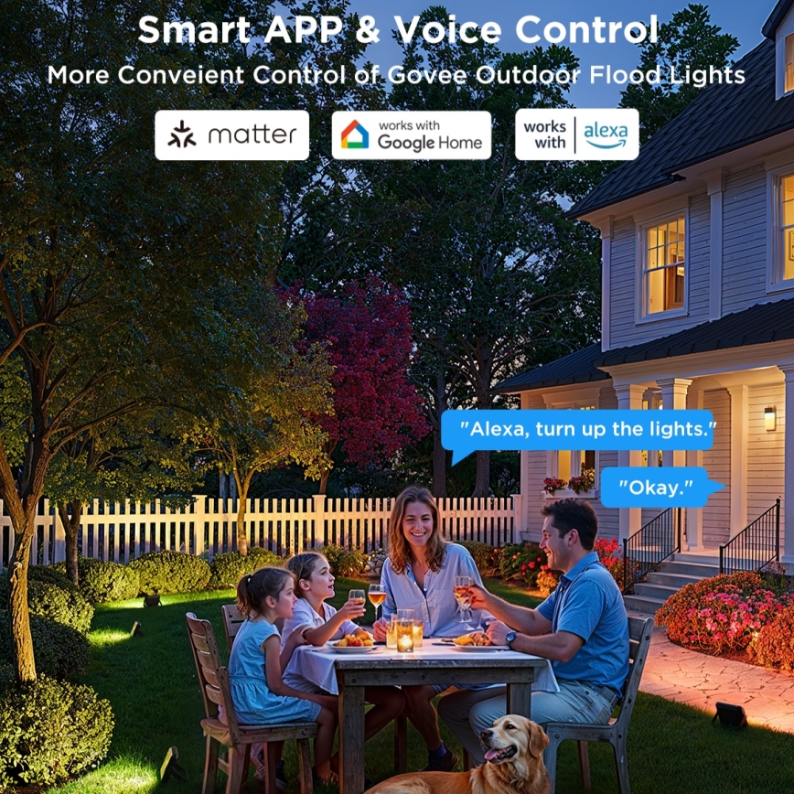 Govee - Set van 4 dimbare LED RGBICWW-schijnwerpers 24W/230V IP66 Matter Wi-Fi