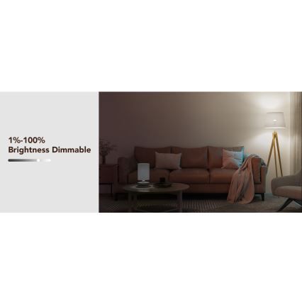 Govee - LED RGBWW dimbare lamp Smart MATTER E27/12W/230V 2700-6500K Wi-Fi
