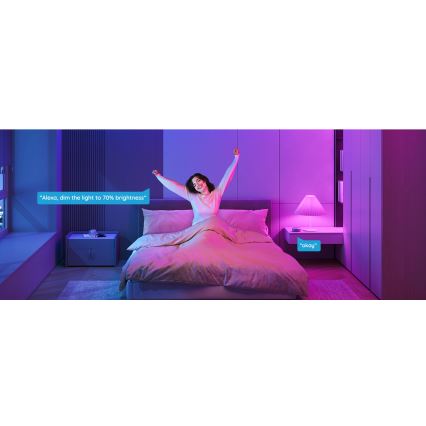 Govee - LED RGBWW dimbare lamp Smart MATTER E27/12W/230V 2700-6500K Wi-Fi