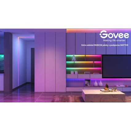 Govee - Wi-Fi RGBICW Smart PRO LED Strip 10m MATTER - extra duurzaam