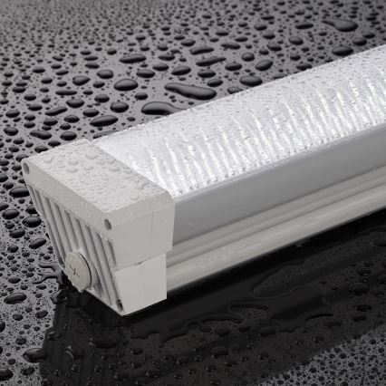 Greenlux GXWP172 - LED TL-verlichting voor professionele toepassingen DUST PROFI LED/70W/230V IP66