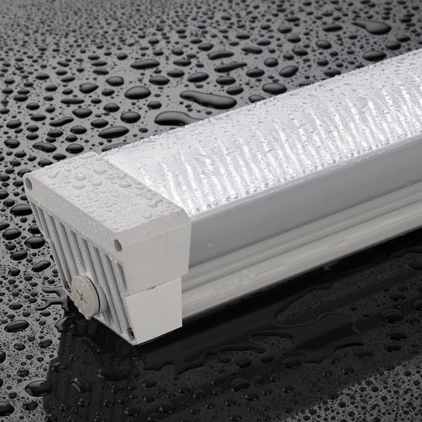 Greenlux GXWP172 - LED TL-verlichting voor professionele toepassingen DUST PROFI LED/70W/230V IP66