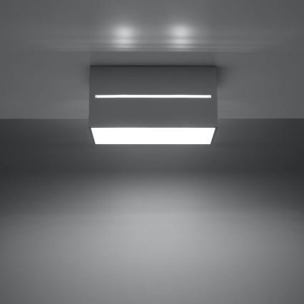 Grijze plafondlamp LOBO 2x GU10 / 40W / 230V