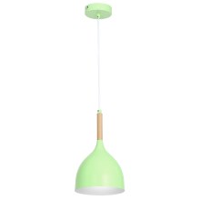 Groene Hanglamp aan koord NOLAN 1x E27 / 60W / 230V
