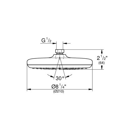 GROHE 26410000 - TEMPESTA hoofddouche 210 mm glanzend chroom