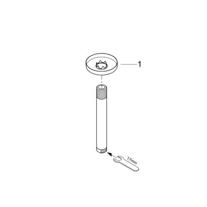 GROHE 28724000 - Douchearm RAINSHOWER 142 mm glanzend chroom
