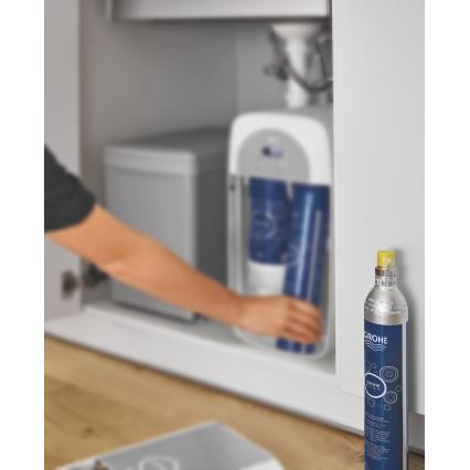 GROHE 40422000 - CO2-fles voor GROHE BLUE 425 g CO2 (4 stuks) roestvrij staal